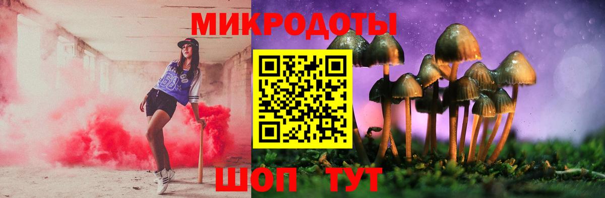 Псилоцибиновые грибы Psilocybine cubensis  Вход с VPN  Галлюциногенные грибы мицелий  Дербент 
